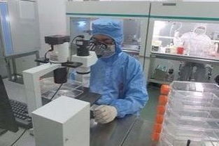 擬核與細胞核的區(qū)別及其在技術(shù)服務中的應用