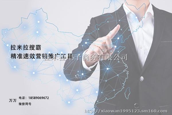 深圳中小企業找全網營銷推廣軟件選拉米拉云推廣系統