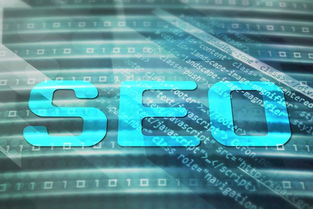 佛山專業網站優化seo 廣東六意科技