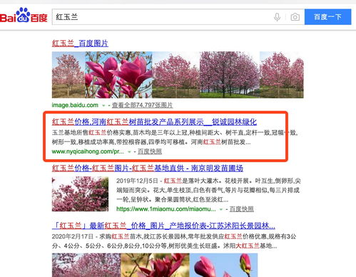 深圳網絡推廣公司 深圳網站推廣公司新聞中心 第10頁 深圳富海360總部