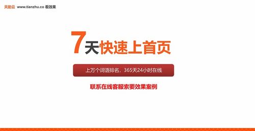 整站優化公司哪些好 深圳優化公司 天助網真正霸屏