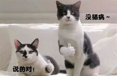 屠龍破曉