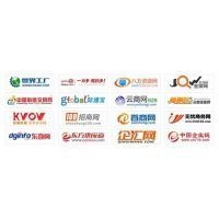 深圳明日*全網絡排名推廣外包 提升流量轉化率