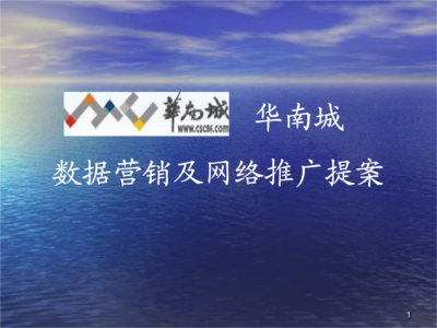 數(shù)據(jù)營銷及網(wǎng)絡(luò)推廣提案.ppt